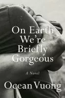 On earth we're briefly gorgeous : a novel cover