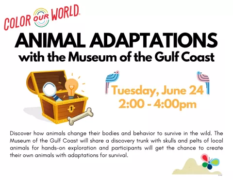 Animal Adaptations with the Museum of the Gulf Coast